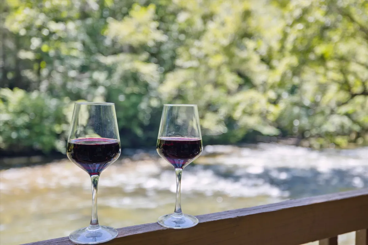 This image features two wine glasses placed beside a flowing river, surrounded by lush greenery. The gentle flow of water and the secluded natural setting create an intimate, peaceful ambiance perfect for couples or nature lovers seeking a tranquil retreat.