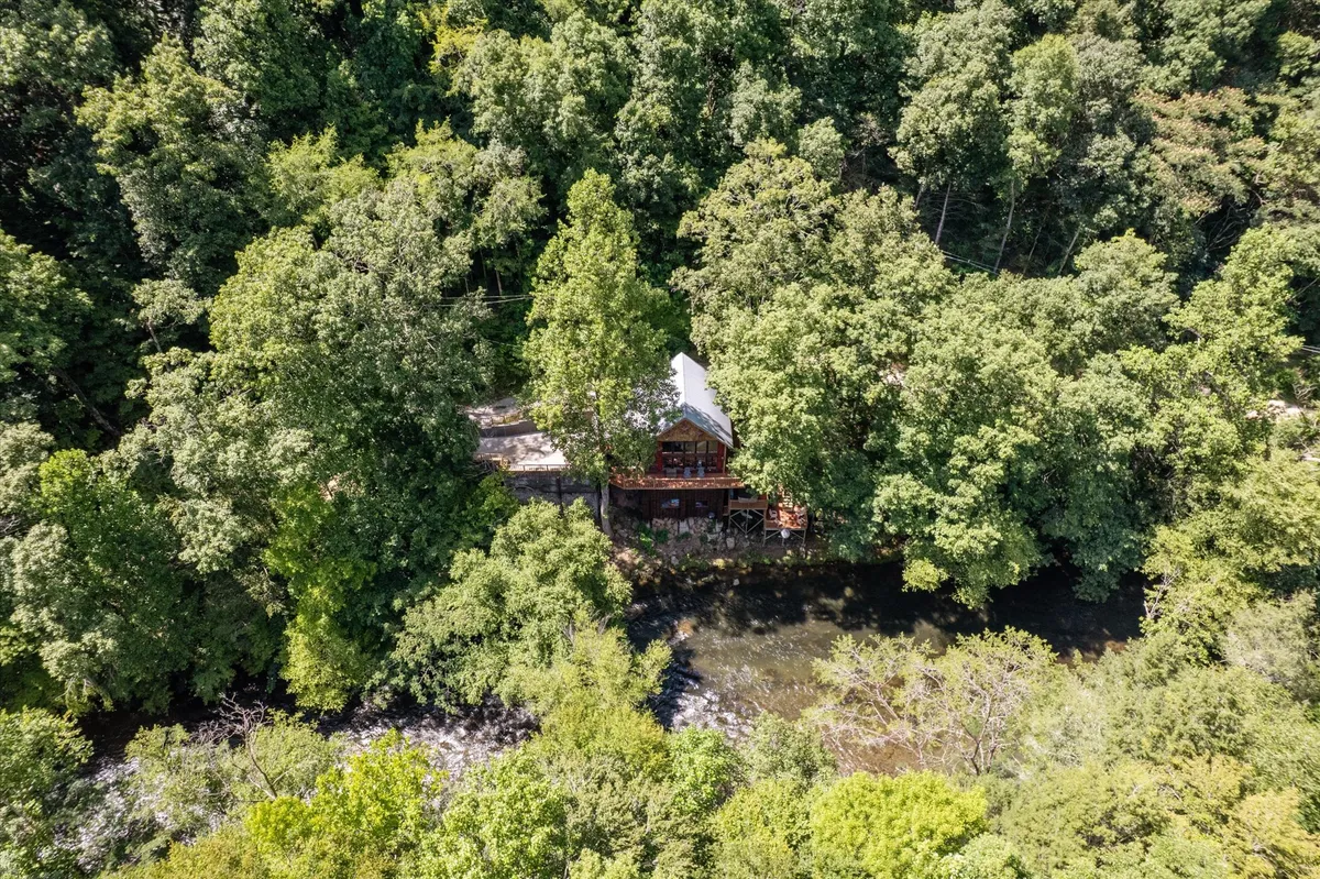 The image shows a rustic wooden cabin with a spacious deck overlooking the river, surrounded by tall trees. The tranquil setting suggests opportunities for coffee on the deck, wildlife watching, and easy access to outdoor activities.